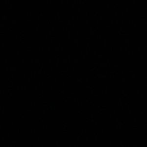 Meet your Posher, Everardo